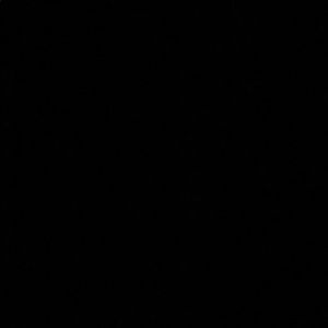 Meet your Posher, Devin